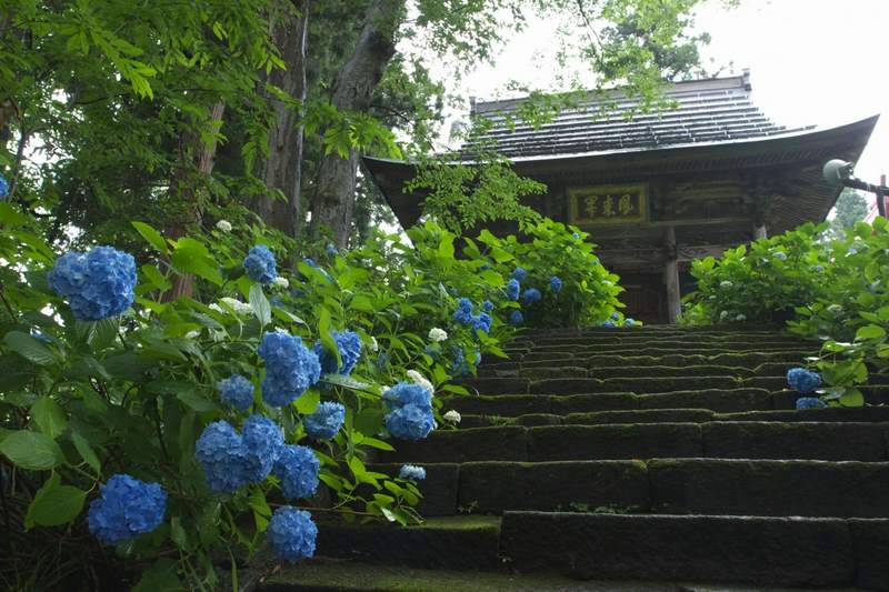 Japan Garden