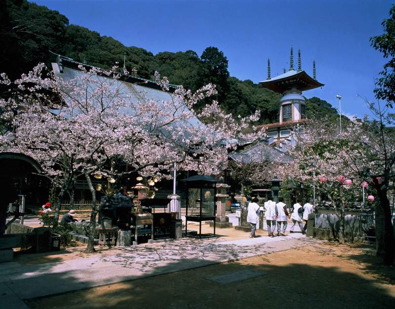 Japan Temple